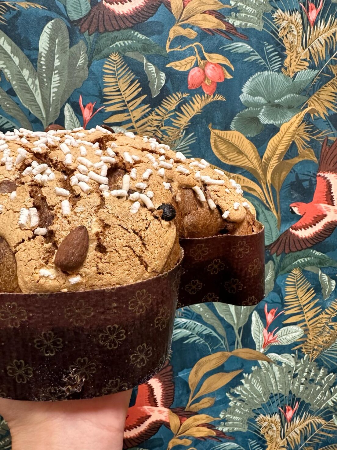 colomba-fermenta